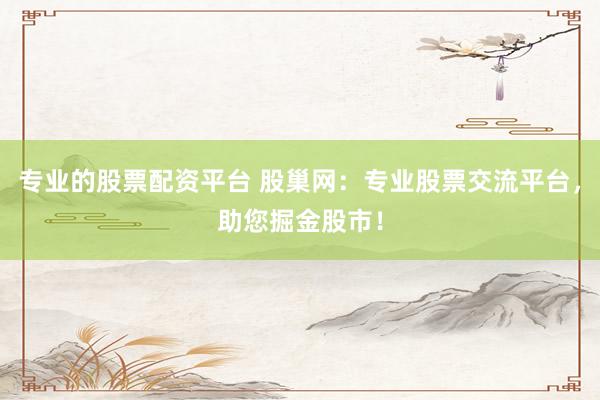 专业的股票配资平台 股巢网：专业股票交流平台，助您掘金股市！