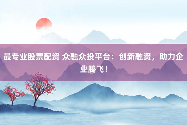 最专业股票配资 众融众投平台：创新融资，助力企业腾飞！
