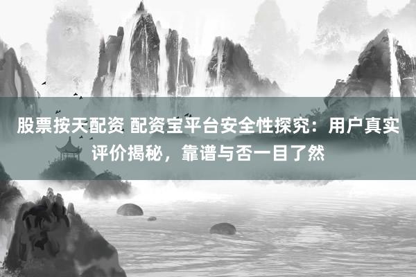 股票按天配资 配资宝平台安全性探究：用户真实评价揭秘，靠谱与否一目了然