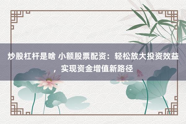 炒股杠杆是啥 小额股票配资：轻松放大投资效益，实现资金增值新路径
