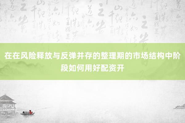 在在风险释放与反弹并存的整理期的市场结构中阶段如何用好配资开
