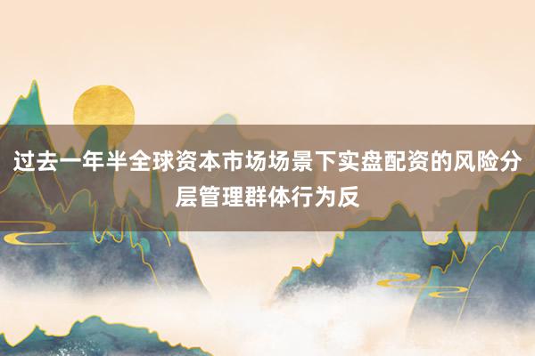 过去一年半全球资本市场场景下实盘配资的风险分层管理群体行为反