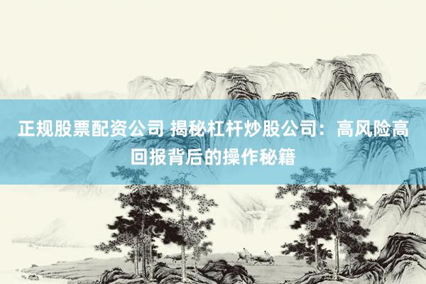 正规股票配资公司 揭秘杠杆炒股公司：高风险高回报背后的操作秘籍
