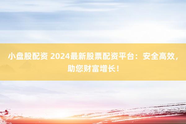 小盘股配资 2024最新股票配资平台：安全高效，助您财富增长！